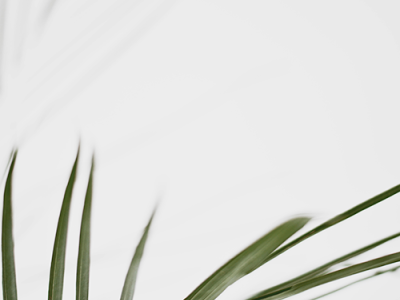 OpenCart Chinese Professional Blog function is online! OpenCart Chinese Professional Blog function is online!